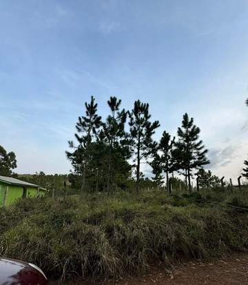 Foto Terreno