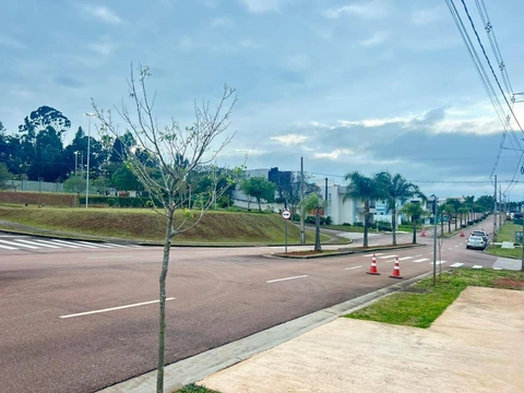 Foto Terreno