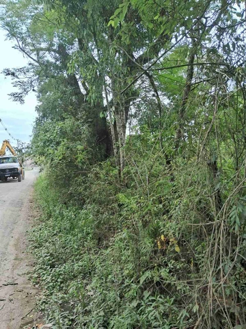 Foto Terreno