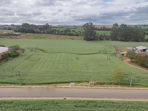 Foto Terreno