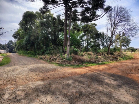 Foto Terreno