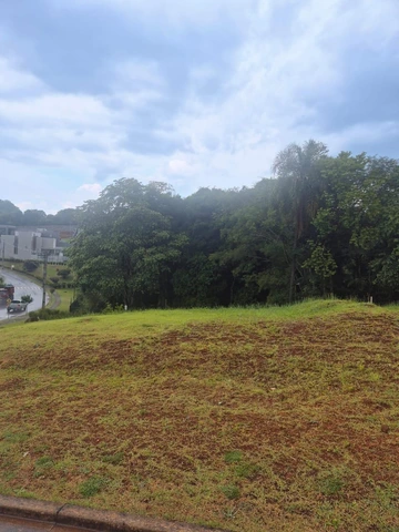 Foto Terreno