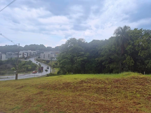 Foto Terreno
