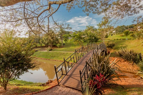 Foto Terreno