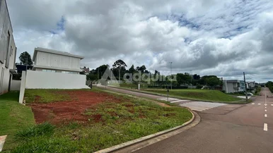 Terreno à Venda, Jardim Carvalho, Ponta Grossa, Pr