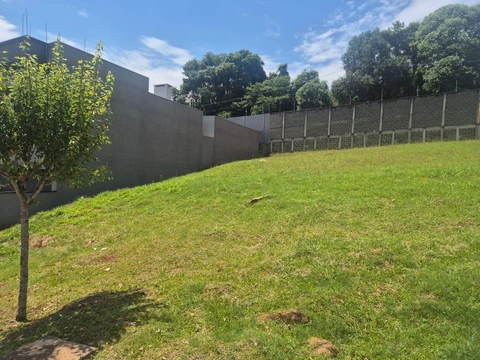Foto Terreno