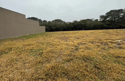 Foto Terreno
