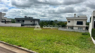 Terreno à Venda, No Condomínio Terras Alphaville, Jardim Carvalho, Ponta Grossa,