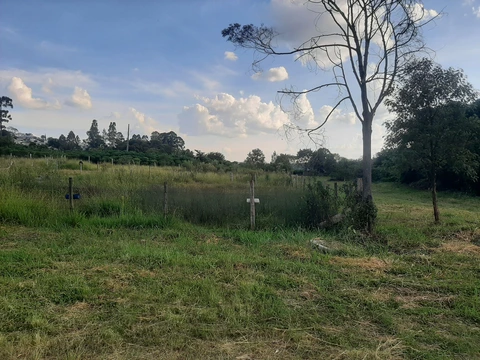 Foto Terreno