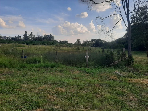 Foto Terreno