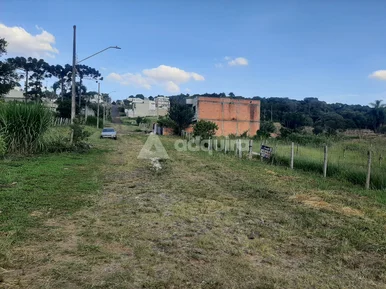 Terreno à Venda Jardim Alphaville - Estrela, Ponta Grossa