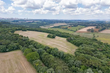 Terreno Rural/comercial à Venda, Com Aproximadamente 6 Alqueires (145.000 M²)