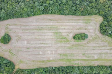 Terreno Rural/comercial à Venda, Com Aproximadamente 6 Alqueires (145.000 M²)