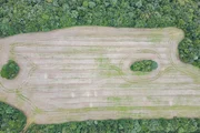 <strong>Terreno Rural/Comercial à venda, com aproximadamente 6 alque</strong>