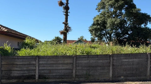 Foto Terreno