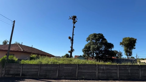 Foto Terreno