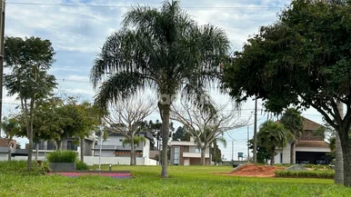 Terreno à Venda 303,26m², Jardim Carvalho, Ponta Grossa - Pr