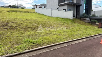 Terreno à Venda No Condomínio Terras Alphaville