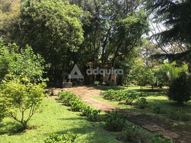Chácara à Venda No Distrito De Guaragi I Ponta Grossa/pr