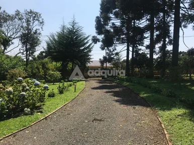 Chácara à Venda No Distrito De Guaragi I Ponta Grossa/pr