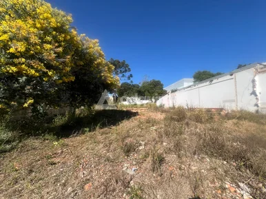 Otimo Terreno No Orfãs