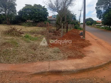 Terreno De Esquina à Venda - Bairro Cará-cará I Ponta Grossa/pr