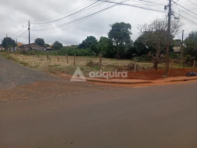 Terreno De Esquina à Venda - Bairro Cará-cará I Ponta Grossa/pr