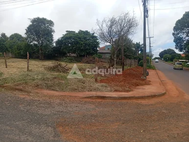 Terreno à Venda - Bairro Cará-cará I Ponta Grossa/pr