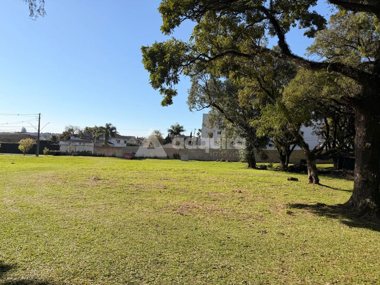 Terreno Comercial à Venda - Localização Estratégica Na Rua Anita Garibaldi