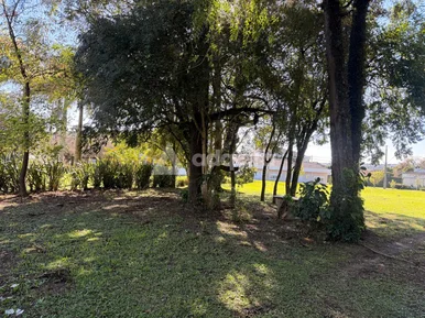 Terreno Comercial à Venda - Localização Estratégica Na Rua Anita Garibaldi