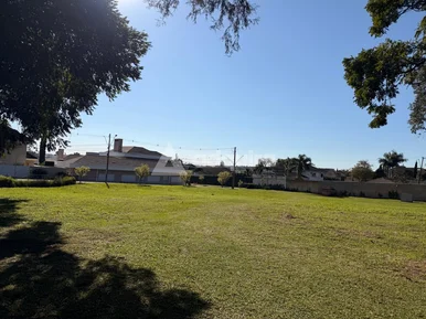 Terreno Comercial à Venda - Localização Estratégica Na Rua Anita Garibaldi