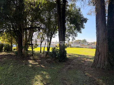 Terreno Comercial à Venda - Localização Estratégica Na Rua Anita Garibaldi