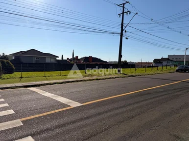 Terreno Comercial à Venda - Bairro órfãs I Ponta Grossa - Pr