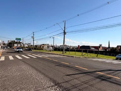 Terreno Comercial à Venda - Bairro órfãs I Ponta Grossa - Pr