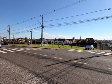 Terreno Comercial à Venda - Bairro órfãs I Ponta Grossa - Pr