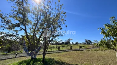 Chácara - 6.000 M² De área Total - Piriquitos - Jardim Piriquitos