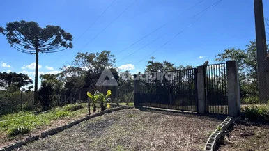 Chácara - 6.000 M² De área Total - Piriquitos - Jardim Piriquitos