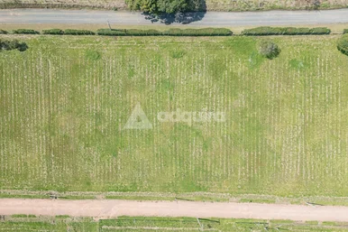 Terreno Em Condomínio De Chácaras Casa De Campo 2 Com Com 2550 M²