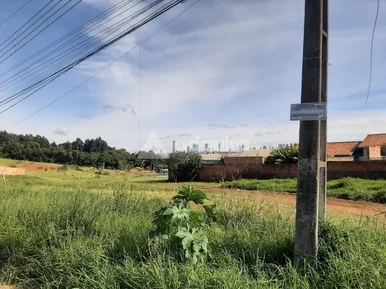 Terrenos Lado A Lado Medindo 391,56m2 Cada - Olarias