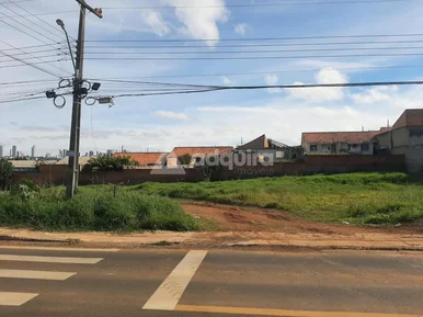 Terrenos Lado A Lado Medindo 391,56m2 Cada - Olarias