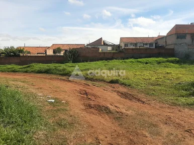 Terrenos Lado A Lado Medindo 391,56m2 Cada - Olarias