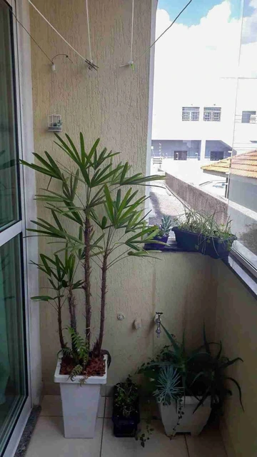 Foto Apartamento