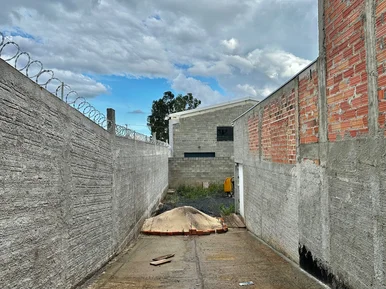 Barracão à Venda No Jardim Carvalho - Espaço Versátil Para Negócios!