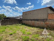 <strong>Casa à venda 4 Quartos, 1 Suite, 3 Vagas, 438.19M², Colônia </strong>