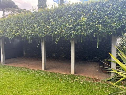 Foto Casa