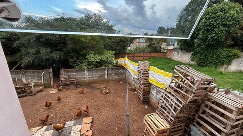 Foto Terreno
