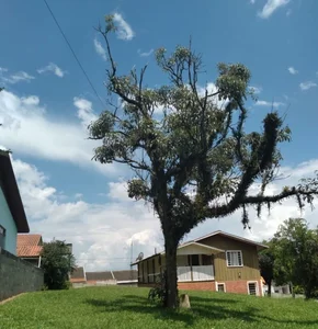 Casa à Venda, Jd Eldorado, Carambeí, Pr