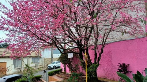 Foto Casa