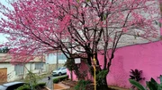 <strong>Casa à venda, Uvaranas, Ponta Grossa, PR</strong>