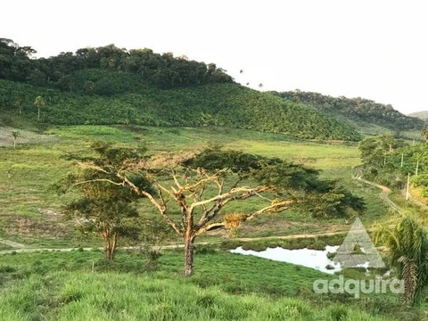 Foto Rural